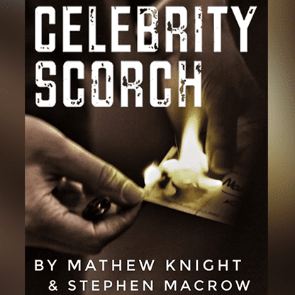 Celebrity Scorch (Downey Jr & Beckham) by Mathew Knight and Stephen Macrow
