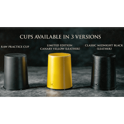 How to Cheat at Dice Gray Raw Cup (Props and Online Instructions)  by Zonte and SansMinds - Trick