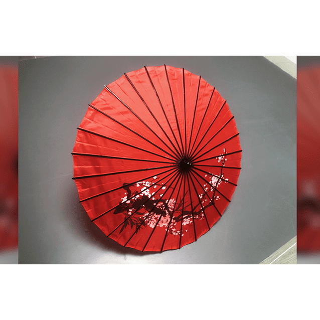 Dragon Parasol Set RED by LY & MS Magic - Trick