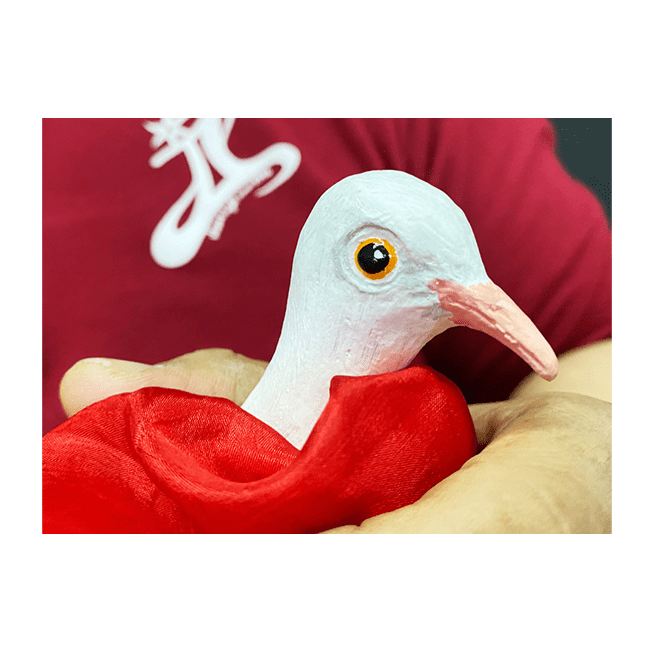 FINGER DOVE by JL Magic - Trick