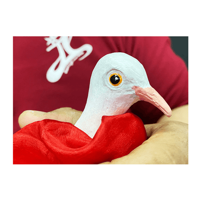 FINGER DOVE by JL Magic - Trick