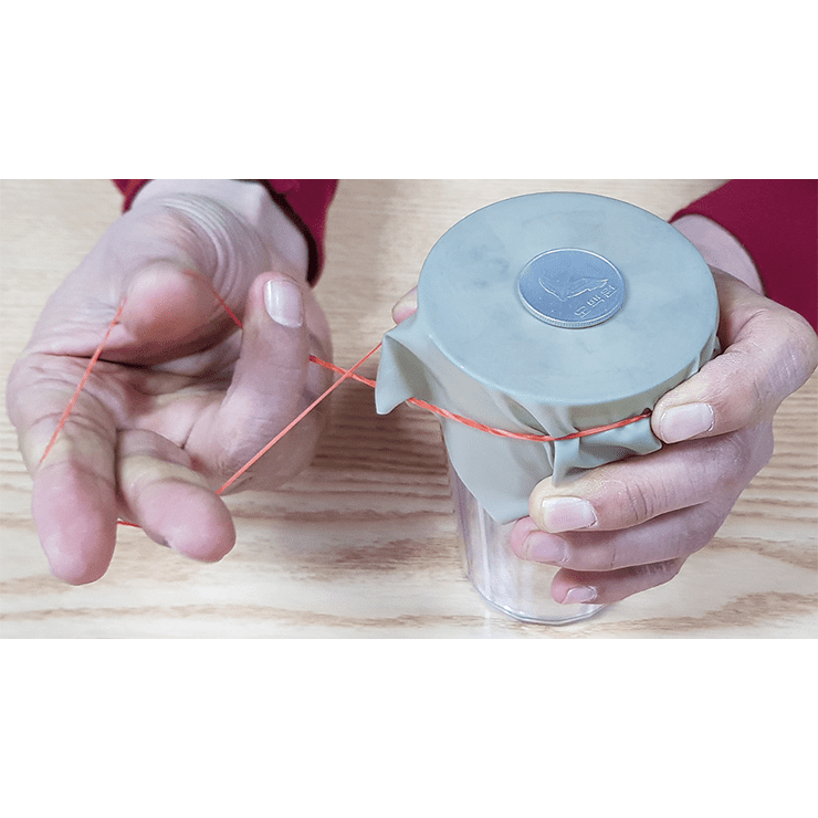 3D Stretch Rubber Plate (5PK) by JL Magic - Trick