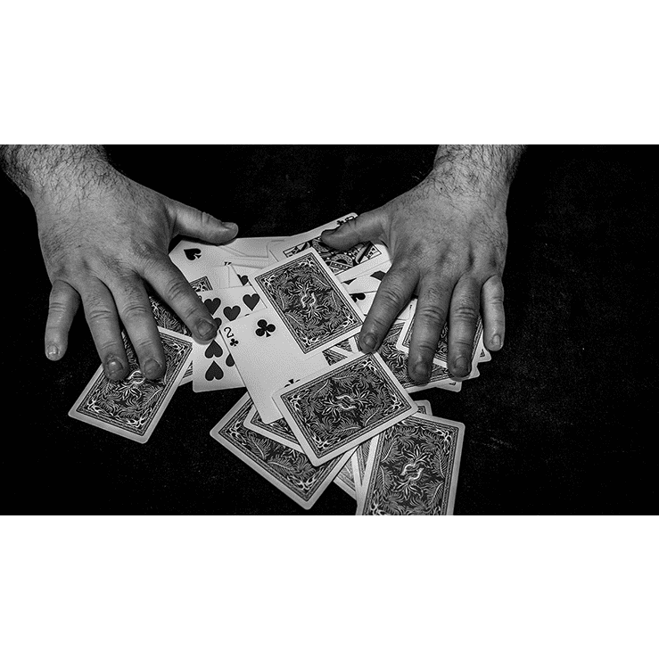 FREEDOM OF EXPRESSION by Dani DaOrtiz - BOOK