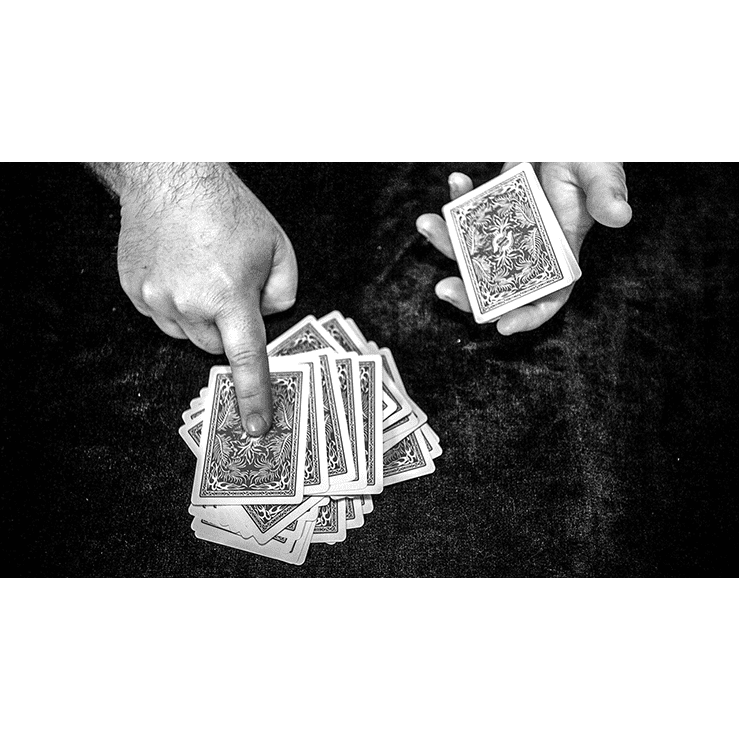 FREEDOM OF EXPRESSION by Dani DaOrtiz - BOOK