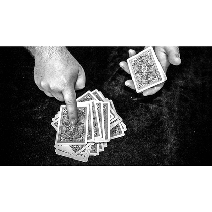 FREEDOM OF EXPRESSION by Dani DaOrtiz - BOOK