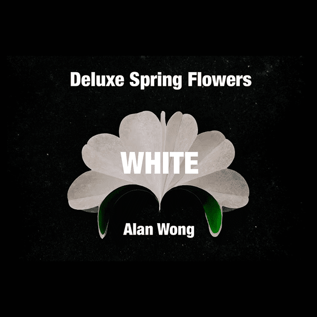 Deluxe Spring Flowers WHITE by Alan Wong - Trick