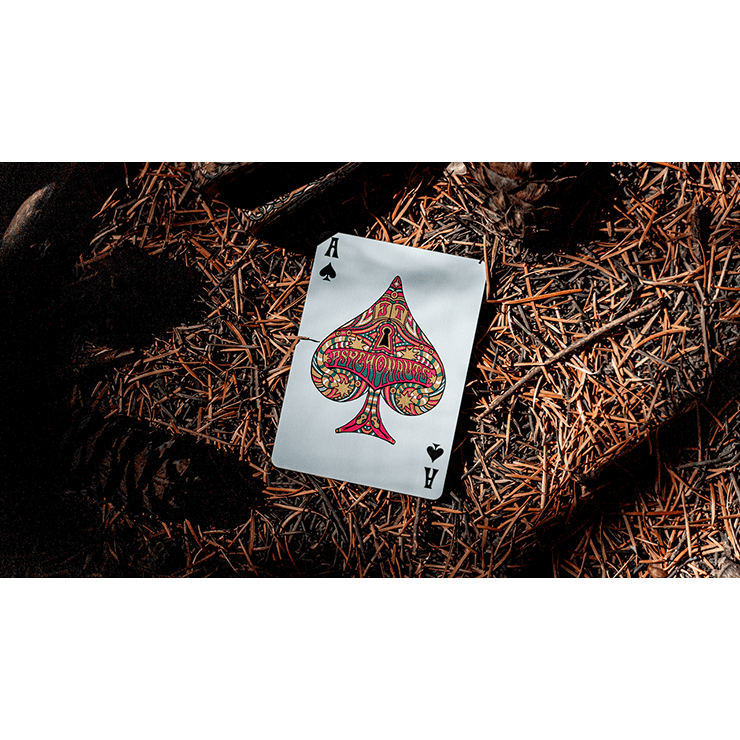 Psychonauts Playing Cards by Joker and the Thief