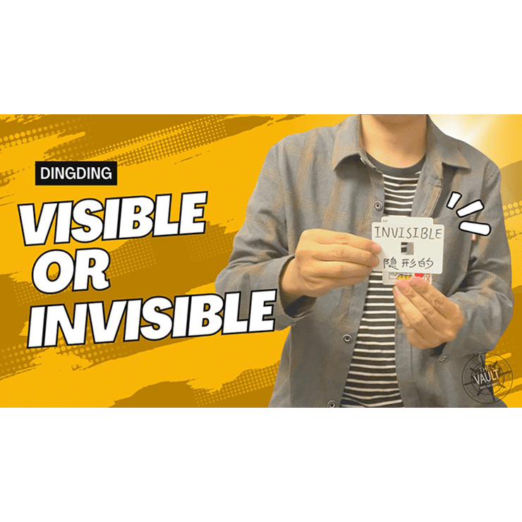 The Vault - Visible or Invisible by Dingding video DOWNLOAD