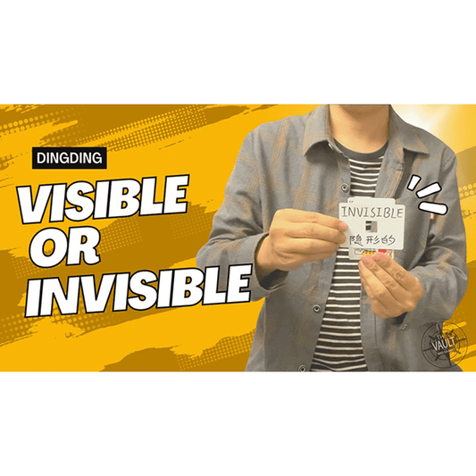 The Vault - Visible or Invisible by Dingding video DOWNLOAD