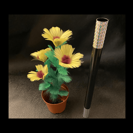 WAND TO SUNFLOWER LARGE by Alan Wong  - Trick