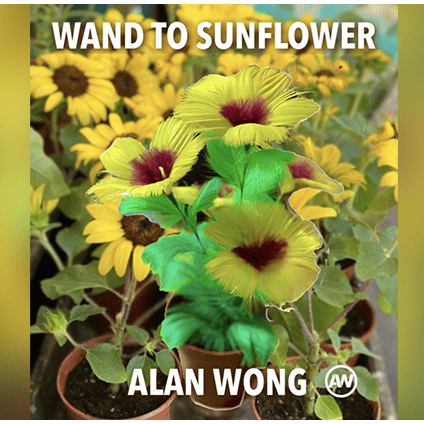 WAND TO SUNFLOWER LARGE by Alan Wong  - Trick