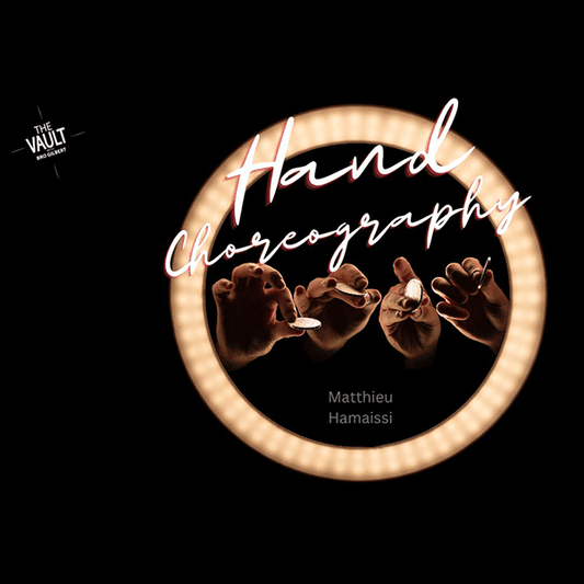 The Vault - Hand Choreography by Matthieu Hamaissi mixed media DOWNLOAD