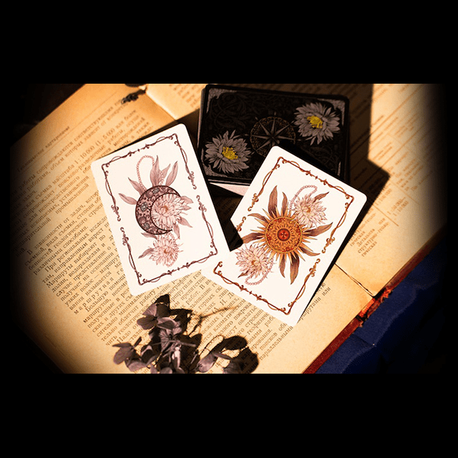 Epiphyllum Playing Cards