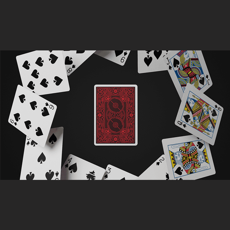 404 Playing Cards by Vanishing Inc