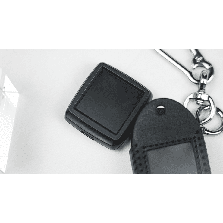 Palm Peeker Keychain Case by PITATA MAGIC - Trick