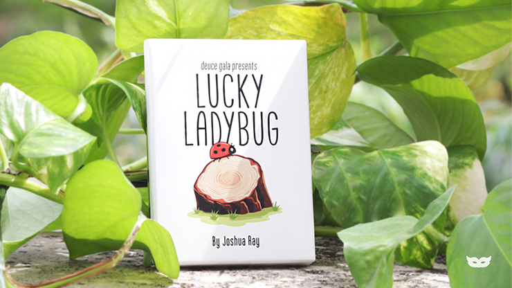 Lucky Ladybug (Gimmicks and Online Instructions) by Joshua Ray & Deuce Gala Magic