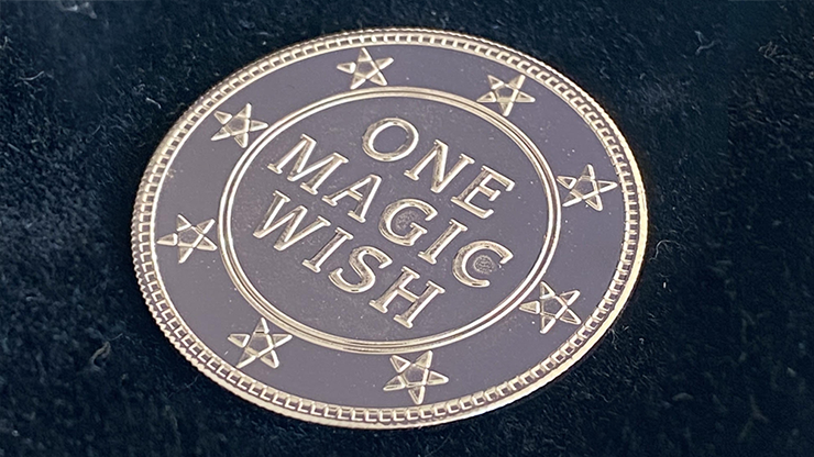 Magic Wishing Coins Silver (12 Coins) by Alan Wong - Trick – Alakazam Magic