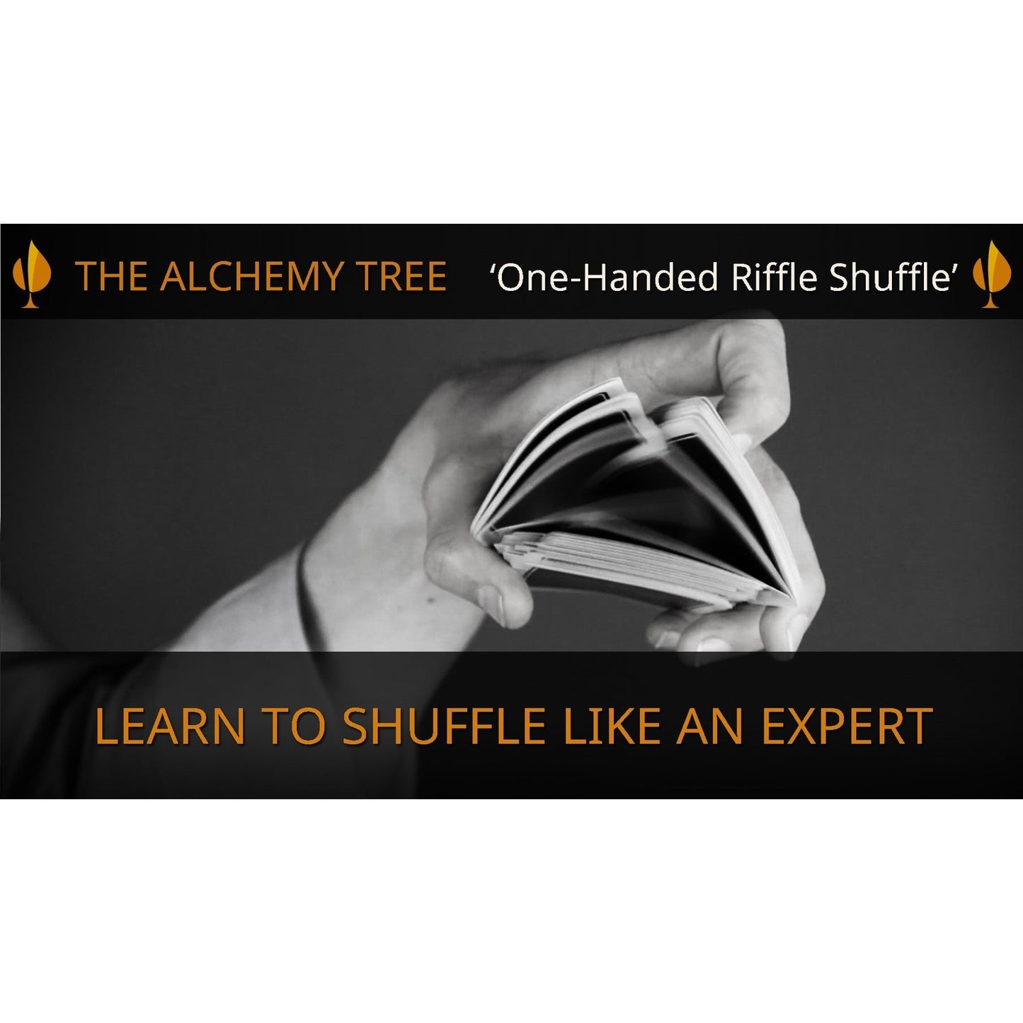 One Handed Riffle Shuffle Left Handed by Alchemy Tree