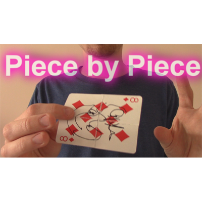 Piece by Piece by Aaron Plener - Video DOWNLOAD