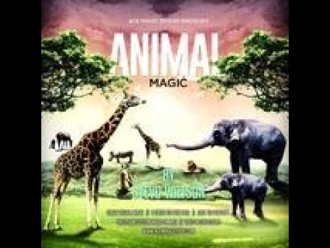 Animal Magic By Stevo Watson